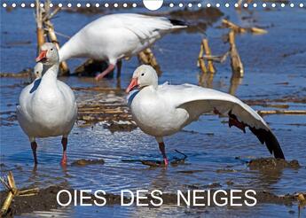 Couverture du livre « Oies des neiges calendrier mural 2020 din a4 horizontal - embleme du grand nord canadien » de Philippe Henry aux éditions Calvendo