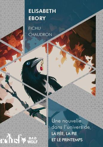 Couverture du livre « Fichu chaudron » de Elisabeth Ebory aux éditions Actusf