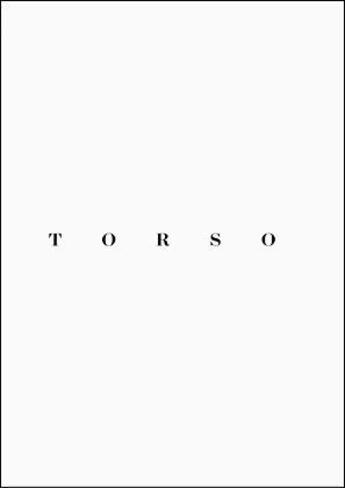 Couverture du livre « Torso » de Nicolas Wormull aux éditions Andre Frere