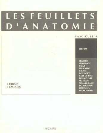 Couverture du livre « Schemas de travaux pratiques d'anatomie ; les feuillets d'anatomie ; fascicule 14 thorax » de J Brizon et J Castaing aux éditions Maloine