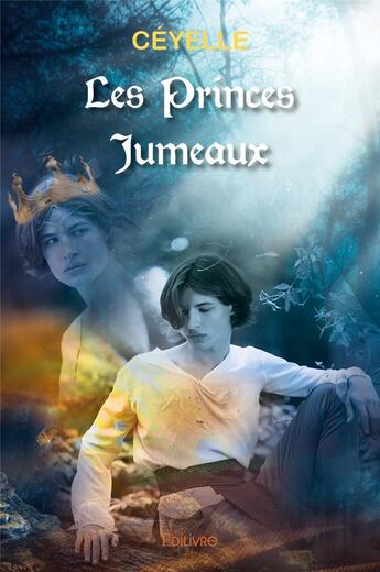 Couverture du livre « Les Princes jumeaux » de Ceyelle Ceyelle aux éditions Edilivre