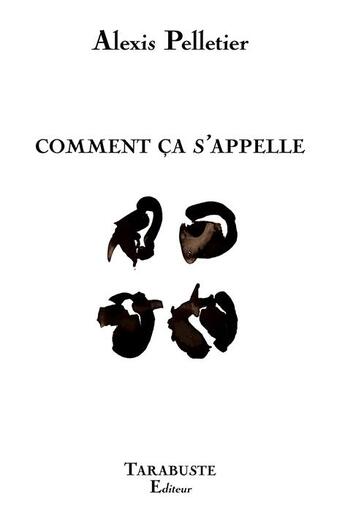 Couverture du livre « Comment ca s'appelle - alexis pelletier » de Alexis Pelletier aux éditions Tarabuste