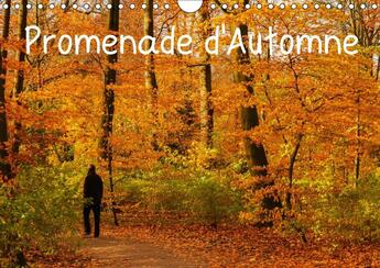 Couverture du livre « Promenade d automne calendrier mural 2018 din a4 horizontal - une promenade haute en couleur » de Angot M aux éditions Calvendo