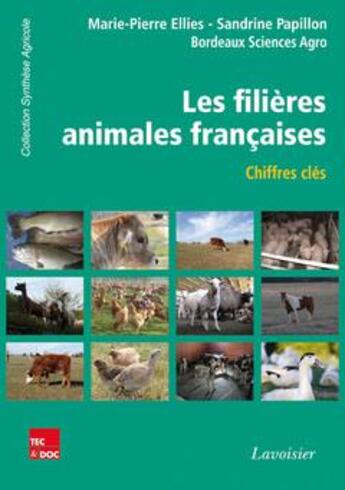 Couverture du livre « Les filières animales françaises ; chiffres-clés » de Marie-Pierre Ellies et Sandrine Papillon aux éditions Tec Et Doc