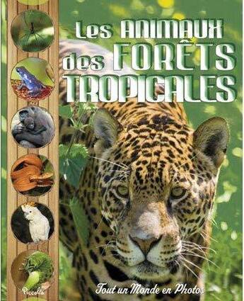 Couverture du livre « Tout un monde en photos ; les animaux de la forêt tropicale » de  aux éditions Piccolia