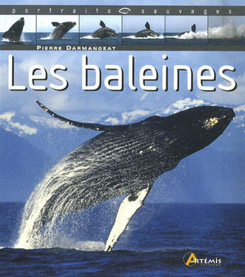 Couverture du livre « Les baleines » de Darmangeat Pierre aux éditions Artemis