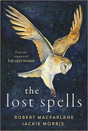 Couverture du livre « THE LOST SPELLS » de Jackie Morris et Robert Macfarlane aux éditions Hamish Hamilton