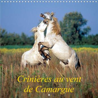 Couverture du livre « Crinières au vent de Camargue (Calendrier mural 2020 300 × 300 mm Square) ; Camargue, terre de vents, de liberté, de soleil, blanche comme le sel, blanche comme ses chevaux. (Calendrier mensuel, 14 Pages ) » de Henry Ausloos aux éditions Calvendo