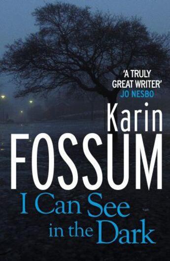 Couverture du livre « I Can See in the Dark » de Karin Fossum aux éditions Random House Digital