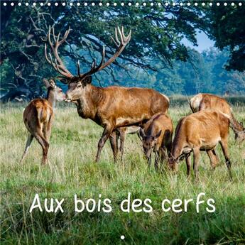 Couverture du livre « Aux bois des cerfs calendrier mural 2020 300 300 mm square - cerfs en liberte dans une fore » de Michel Angot aux éditions Calvendo