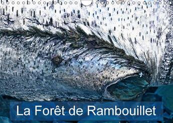 Couverture du livre « La foret de rambouillet calendrier mural 2018 din a4 horizon - la foret francilienne de rambo » de N N aux éditions Calvendo