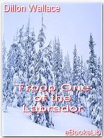 Couverture du livre « Troop One of the Labrador » de Dillon Wallace aux éditions Ebookslib