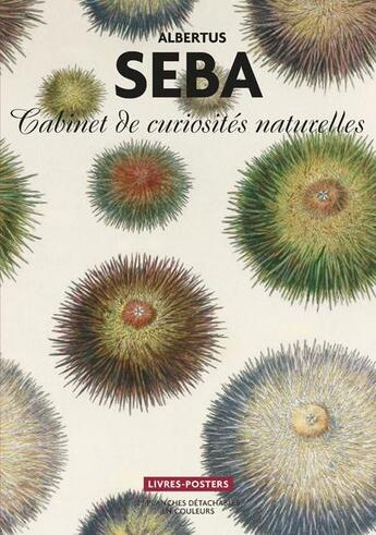 Couverture du livre « Albertus Seba ; cabinet de curiosité livres posters : 22 planches détachables en couleurs » de  aux éditions Bnf Editions