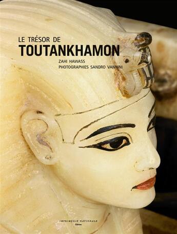 Couverture du livre « Le trésor de Toutankhamon » de Sandro Vannini et Zahi Hawass aux éditions Actes Sud