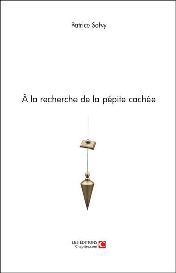 Couverture du livre « À la recherche de la pépite cachée » de Patrice Salvy aux éditions Chapitre.com