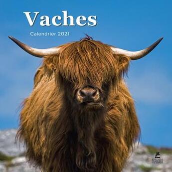 Couverture du livre « Vaches ; calendrier (édition 2021) » de  aux éditions Place Des Victoires