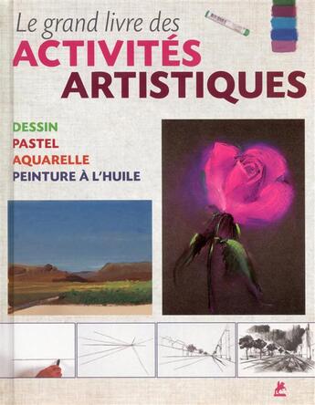 Couverture du livre « Le grand livres des activités artistiques » de  aux éditions Place Des Victoires