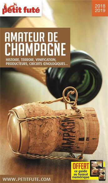 Couverture du livre « GUIDE PETIT FUTE ; THEMATIQUES ; amateur de Champagne ; histoire, terroir, vinification, producteurs, circuits oenologiques (édition 2018/2019) » de  aux éditions Le Petit Fute