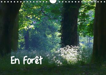 Couverture du livre « En foret calendrier mural 2018 din a4 horizontal - ambiances forestieres calendri » de Lack P aux éditions Calvendo