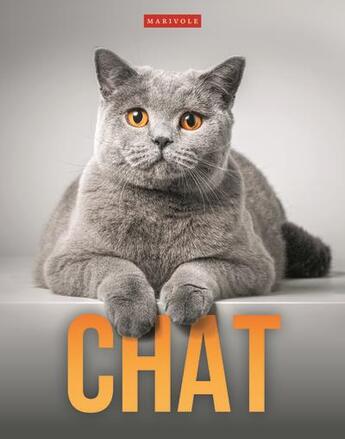 Couverture du livre « Chat » de Delphine Gay aux éditions Marivole