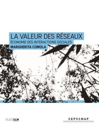 Couverture du livre « Comprendre les reseaux sociaux ; la dimension économique des interactions sociales » de Marguerita Comola aux éditions Rue D'ulm