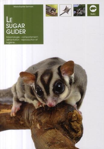 Couverture du livre « Le sugar glider » de Marie-Sophie Germain aux éditions De Vecchi