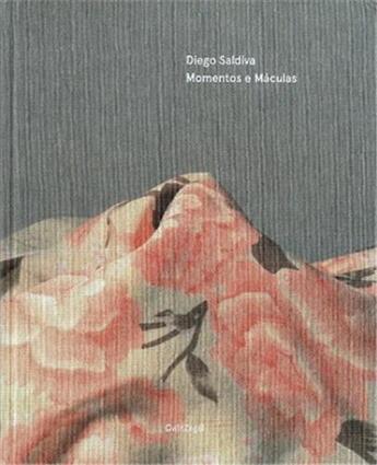 Couverture du livre « Momentos e maculas » de Saldiva Diego aux éditions Gwinzegal