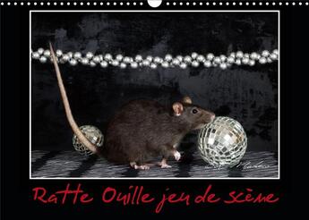 Couverture du livre « Ratte Ouille jeu de scène (Calendrier mural 2020 DIN A3 horizontal) ; Petite ratte en spectacle. (Calendrier mensuel, 14 Pages ) » de Kathy Mahevo aux éditions Calvendo