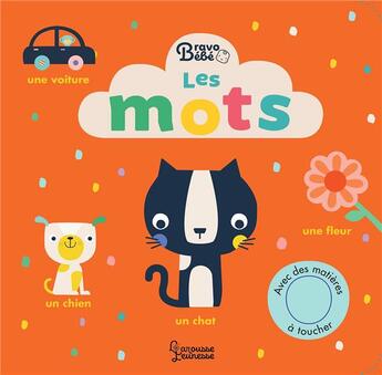 Couverture du livre « Les mots » de Lemon Ribbon Studio aux éditions Larousse