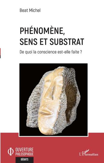 Couverture du livre « Phénomène, sens et substrat : de quoi la conscience est-elle faite ? » de Michel Beat aux éditions L'harmattan