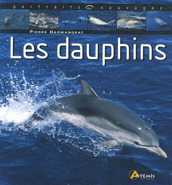 Couverture du livre « Les dauphins » de Darmangeat Pierre aux éditions Artemis