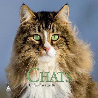 Couverture du livre « Calendrier chats (édition 2018) » de  aux éditions Place Des Victoires