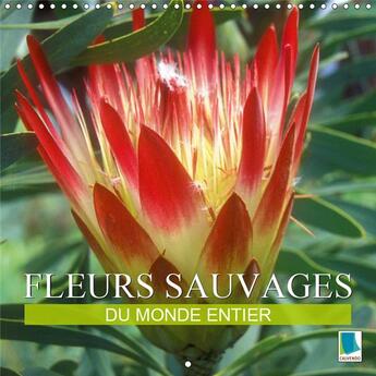 Couverture du livre « Les parentes sauvages de nos f » de Calvendo K.A. aux éditions Calvendo