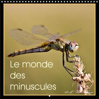 Couverture du livre « Le monde des minuscules calendrier mural 2020 300 300 mm square - mise en beaute des arthropodes » de Kathy Mahevo aux éditions Calvendo