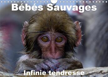 Couverture du livre « Bébés sauvages - Infinie tendresse (Calendrier mural 2020 DIN A4 horizontal) ; Bébés mamifères dans leur environnement naturel (Calendrier mensuel, 14 Pages ) » de Michel Hagege aux éditions Calvendo