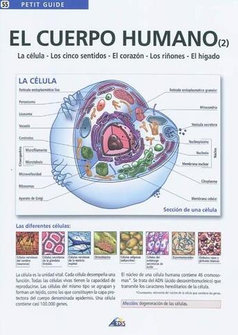 Couverture du livre « El cuerpo humano t.2 » de  aux éditions Aedis