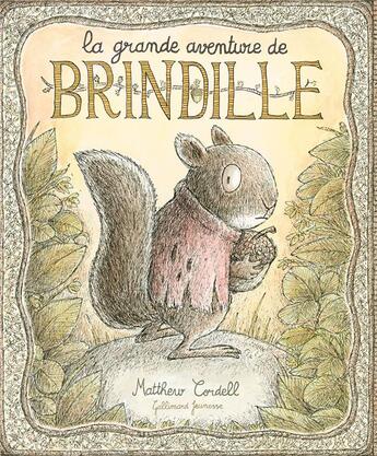 Couverture du livre « La grande aventure de Brindille » de Matthew Cordell aux éditions Gallimard-jeunesse