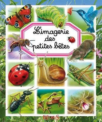 Couverture du livre « L'imagerie des petites bêtes » de  aux éditions Fleurus