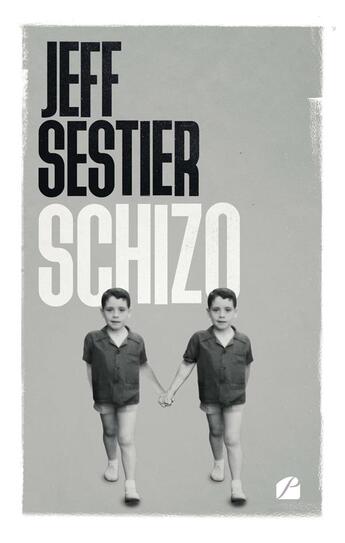 Couverture du livre « Schizo » de Jeff Sestier aux éditions Editions Du Panthéon