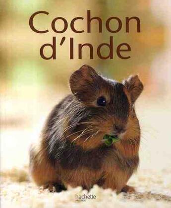 Couverture du livre « Cochon d'inde » de Immanuel Birmelin aux éditions Hachette Pratique