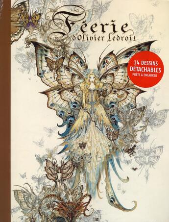 Couverture du livre « Feerie D'Olivier Ledroit - Portofolio » de Olivier Ledroit aux éditions Daniel Maghen