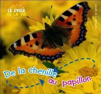 Couverture du livre « De la chenille au papillon » de  aux éditions Circonflexe