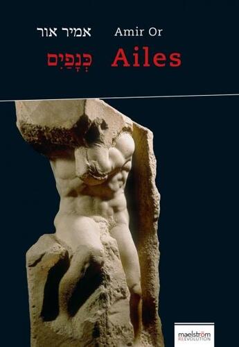 Couverture du livre « Ailes » de Amir Or aux éditions Maelstrom