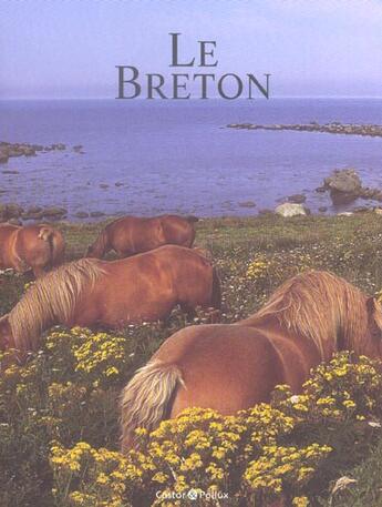 Couverture du livre « Le breton » de Gerard Alle aux éditions Castor Et Pollux