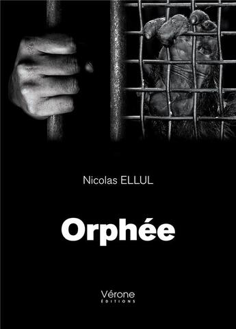 Couverture du livre « Orphée » de Nicolas Ellul aux éditions Verone