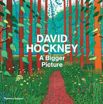 Couverture du livre « David Hockney : a bigger picture » de David Hockney aux éditions Thames & Hudson