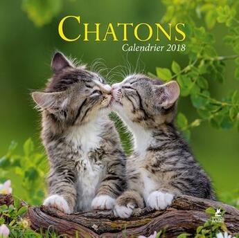 Couverture du livre « Calendrier chatons (édition 2018) » de  aux éditions Place Des Victoires