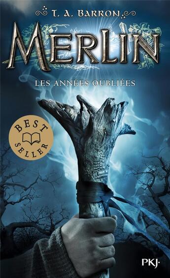 Couverture du livre « Merlin - cycle 1 Tome 1 : les années oubliées » de T. A. Barron aux éditions Pocket Jeunesse