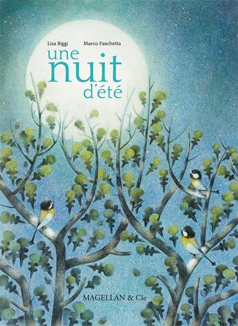 Couverture du livre « Une nuit d'été » de L.Biggi et M.Paschetta aux éditions Magellan & Cie