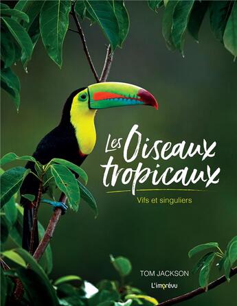 Couverture du livre « Les oiseaux tropicaux : vifs et singuliers » de Tom Jackson aux éditions L'imprevu